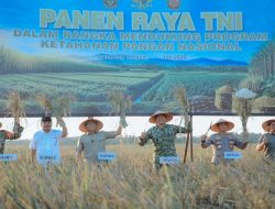 Gubernur Lampung dan Pangdam XXI/Radin Inten Ikuti Panen Raya TNI Serentak, Dukung Swasembada Pangan Nasional