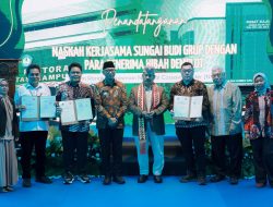 Provinsi Lampung Mantapkan Langkah Jadi Sentra Pengembangan Singkong Nasional, Dongkrak Produktivitas dan Kesejahteraan Petani Singkong
