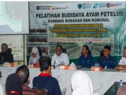 PT Bukit Asam Beri Pelatihan Budidaya Ayam Petelur Skala Rumahan Bagi Warga Kecamatan Merapi Timur