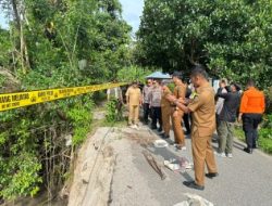 Satgas PRR Tinjau Jalan Rusak, Akses 1.000 Warga Padang Pariaman Terdampak