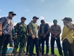 Tim Alfa TNI Diterjunkan Padamkan Karhutla di Way Kambas