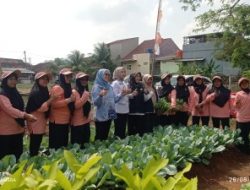 Penilaian BPP KWT Nucager Sukses Wujudkan Kemandirian Pangan Nusantara Permai