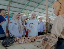 Status Lumbung Pangan – Ada Telur, Daging, Koq Warga Kurang Protein? Ini PR Lampung