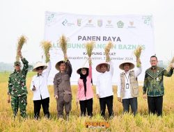 Panen Raya Lumbung Pangan Baznas Pesawaran Jadikan Zakat Produktif dan Kemandirian Petani