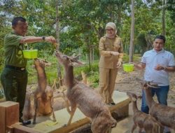 Wagub Jihan, Penguatan Pengelolaan Hutan Lampung  Lestari dan Berkelanjutan