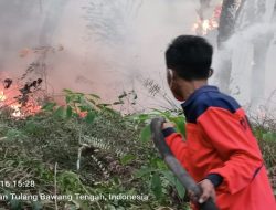 Dua Titik Karhutla di Tulang Bawang dan Lamteng Terkendali, BPBD Sampaikan Pesan Gubernur: Tingkatkan Kewaspadaan Karhutla